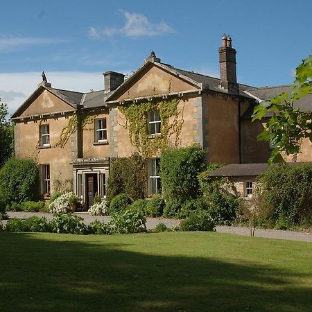 Гостьовий будинок Kilgraney House Bagenalstown Екстер'єр фото