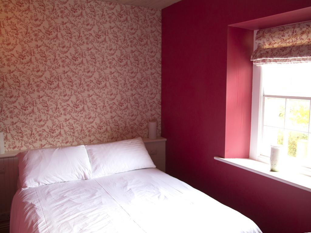 Гостьовий будинок Kilgraney House Bagenalstown Екстер'єр фото